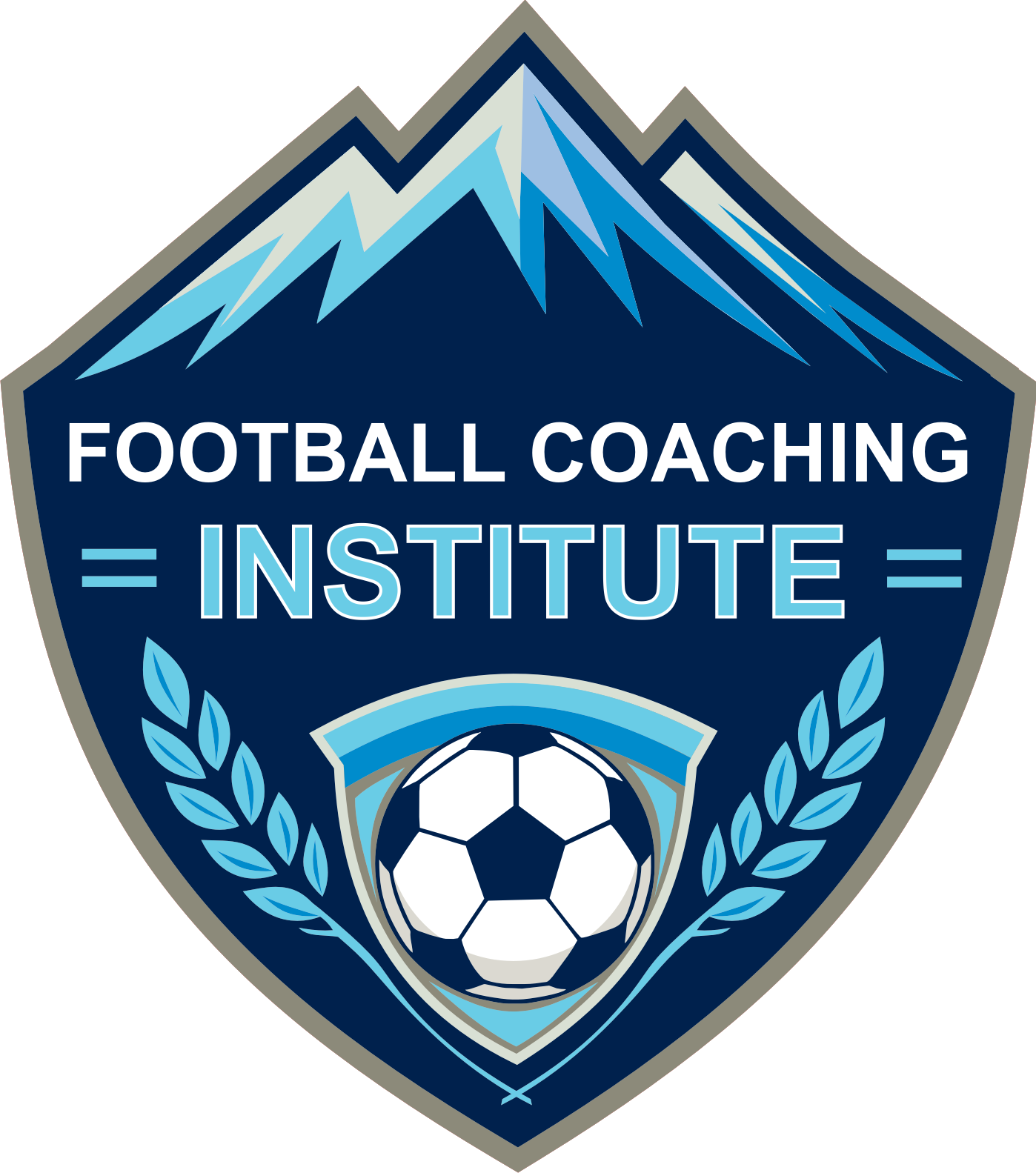 Football Coaching Institute